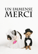 Chien en costume pour un immense merci